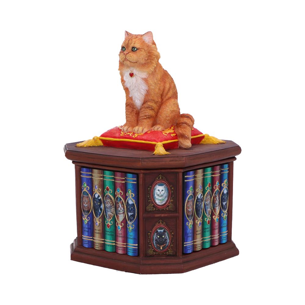 Mad About Cats Box by Lisa Parker 16.5cm 2