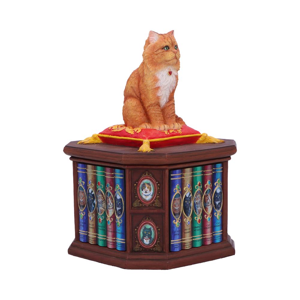 Mad About Cats Box by Lisa Parker 16.5cm 4