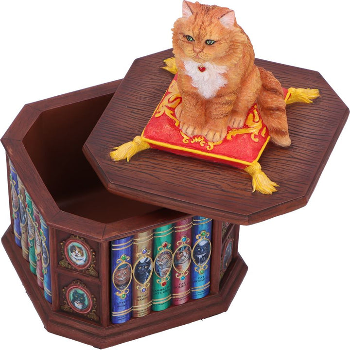 Mad About Cats Box by Lisa Parker 16.5cm 6