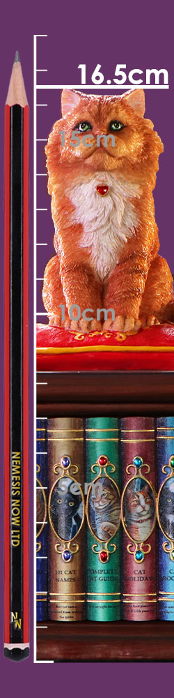 Mad About Cats Box by Lisa Parker 16.5cm 9