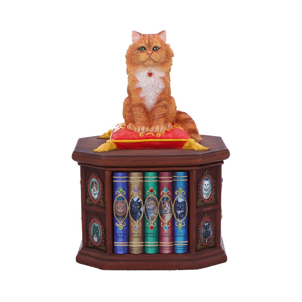 Mad About Cats Box by Lisa Parker 16.5cm