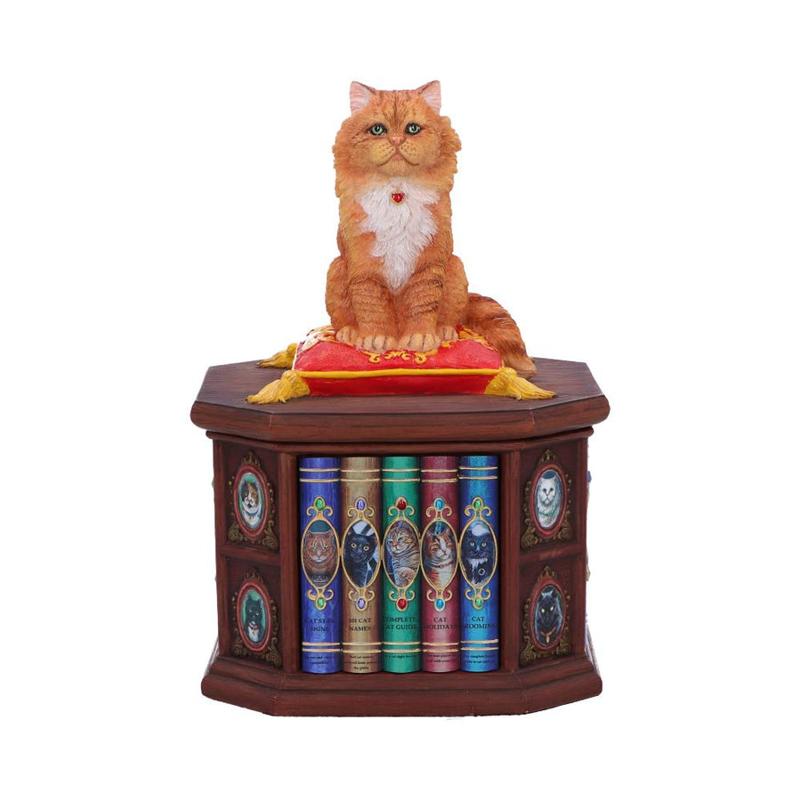 Mad About Cats Box by Lisa Parker 16.5cm 1