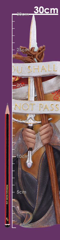Lord of the Rings You Shall Not Pass Wall Plaque 30.4cm 8