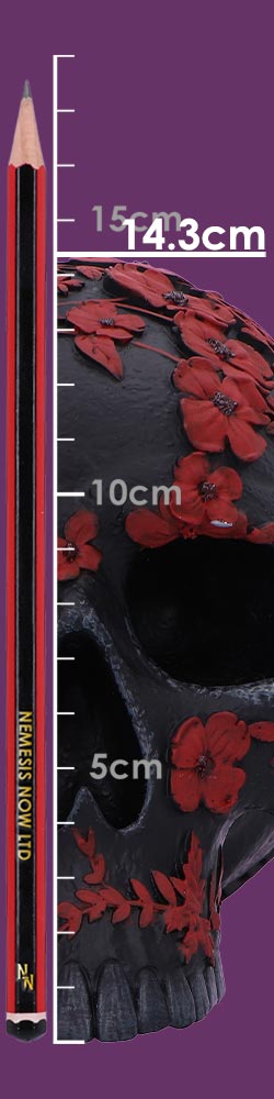 Age of Opium Poppy Skull 18.5cm Resin Statue 8