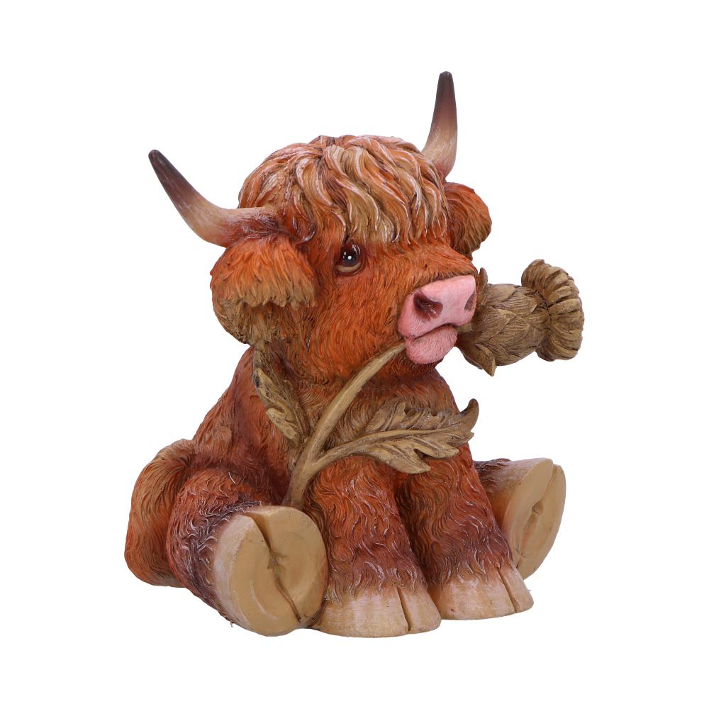 Highland Cow with Thistle Figurine 10.5cm Resin Statue 4
