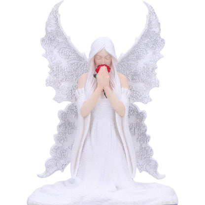 Only Love Remains Fairy Figurine Storage Box 20.3cm by Anne Stokes 5