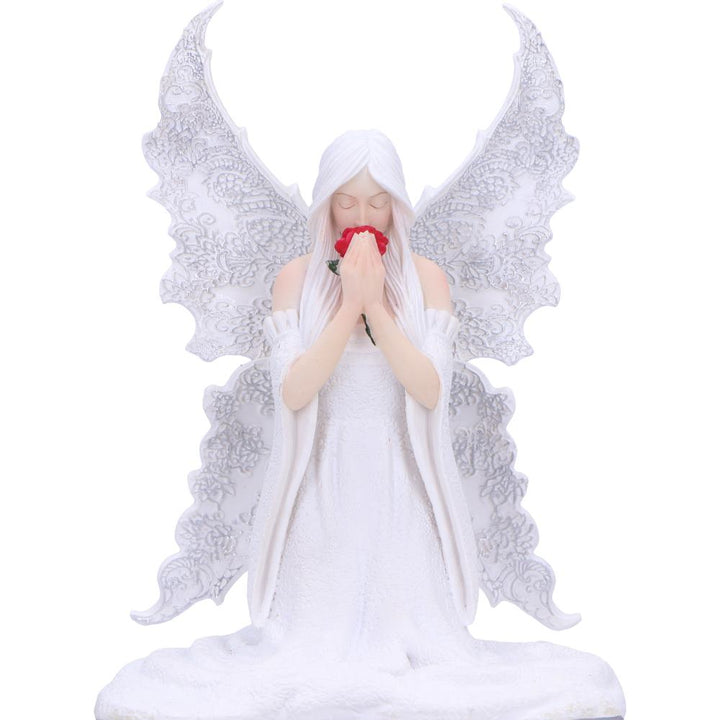 Only Love Remains Fairy Figurine Storage Box 20.3cm by Anne Stokes