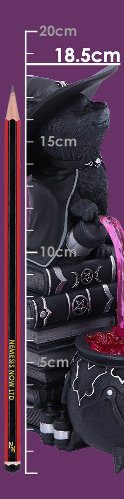 Cult Cuties Curious Cauldron 18.5cm 9