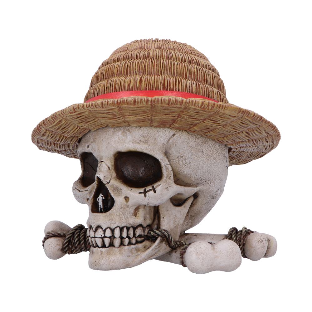 One Piece Luffy Jolly Roger Box 19.5cm 2