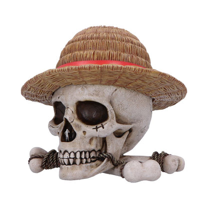 One Piece Luffy Jolly Roger Box 19.5cm 2