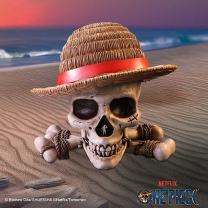 One Piece Luffy Jolly Roger Box 19.5cm 7