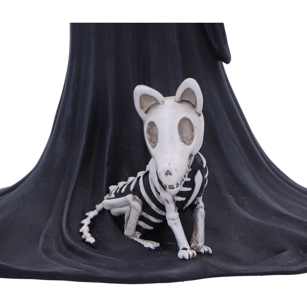 Eternal Companion 24cm 6