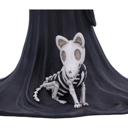 Eternal Companion 24cm 6