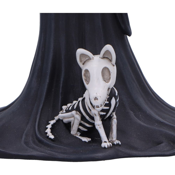 Eternal Companion 24cm 6