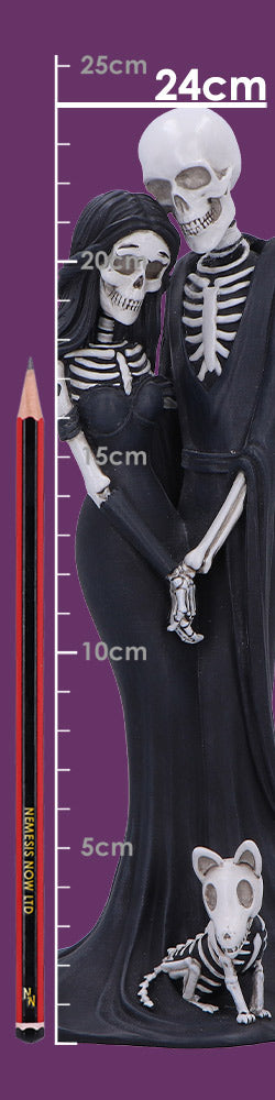 Eternal Companion 24cm 9