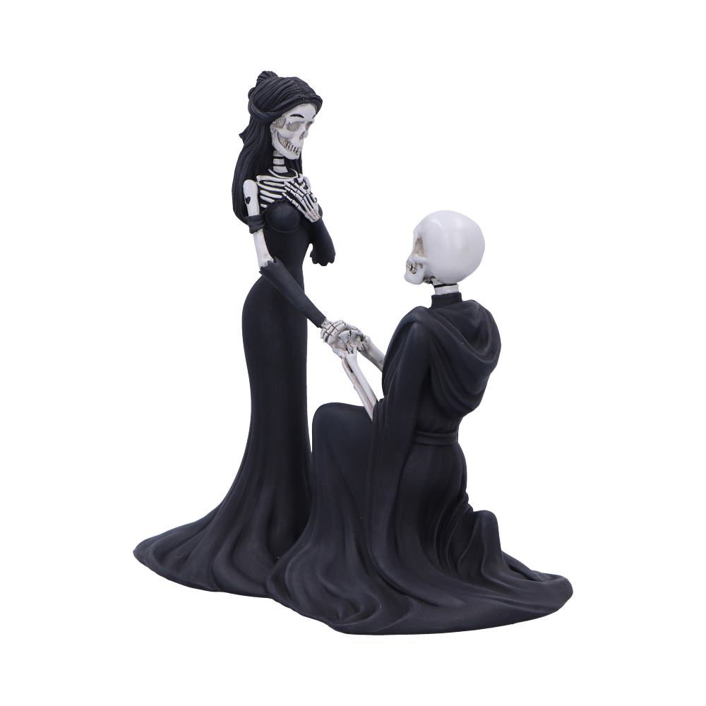 Eternal Proposal 23cm 2
