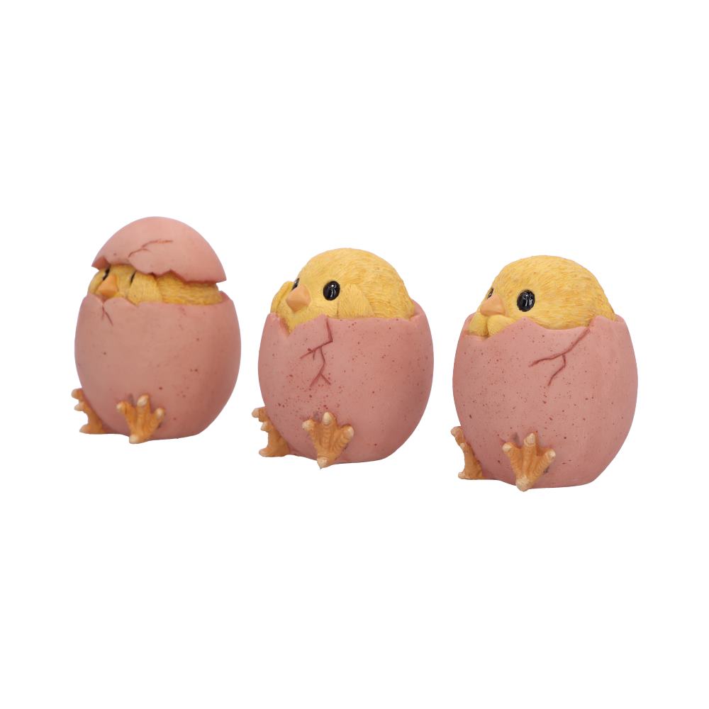 Three Wise Chicks 6.7cm Resin Figurines 4