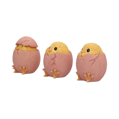 Three Wise Chicks 6.7cm Resin Figurines 4