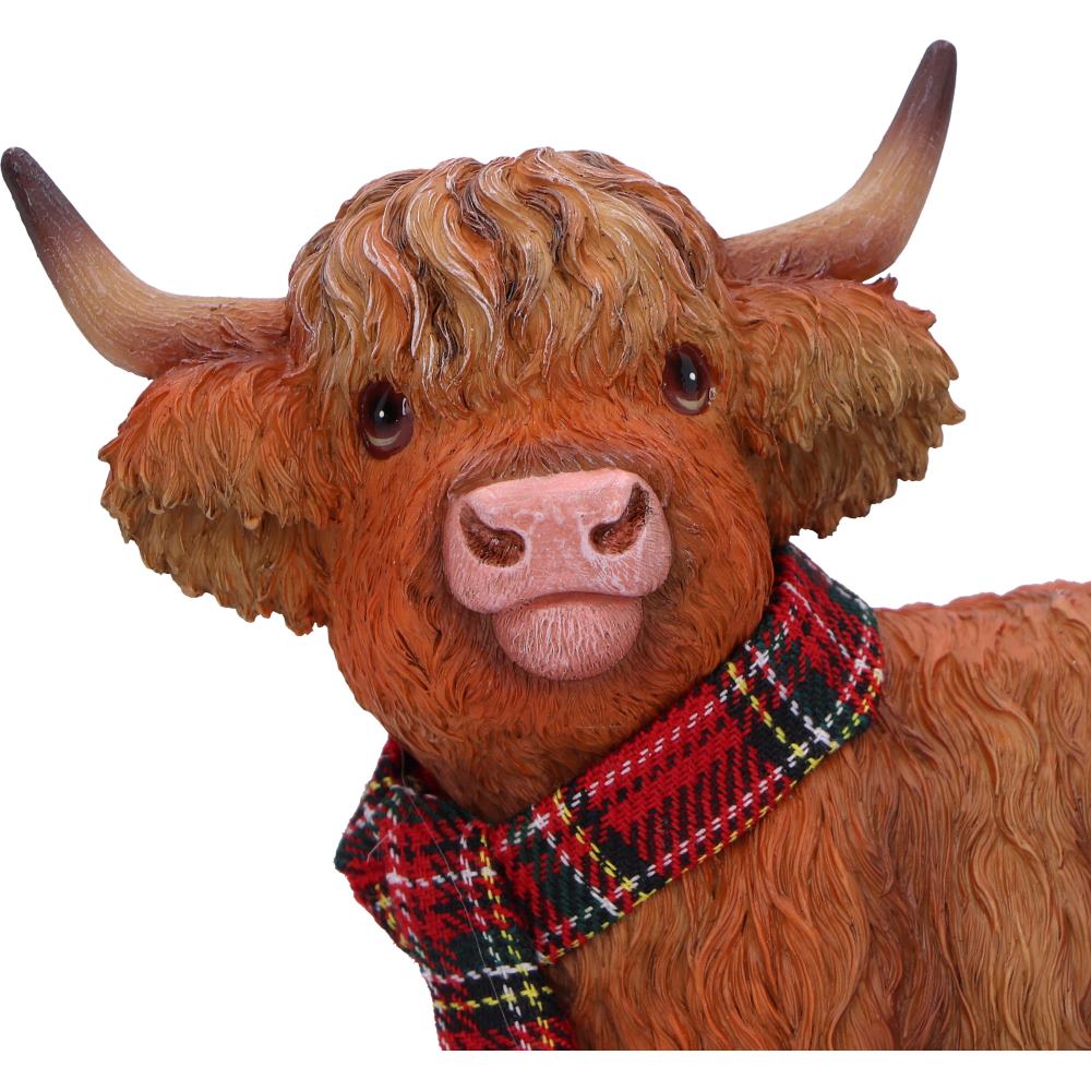 Highland Snug 12.2cm 5