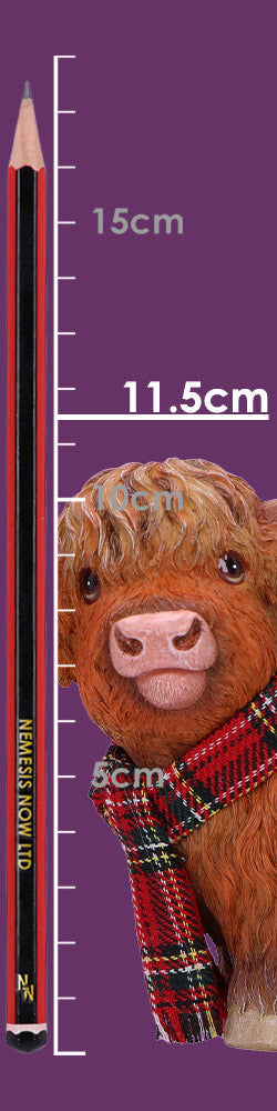 Highland Snug 12.2cm 9