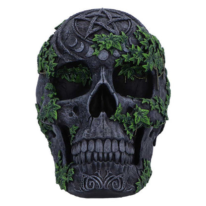 Aged Pentagram Skull 18.8cm 2