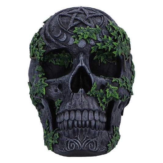 Aged Pentagram Skull 18.8cm 2