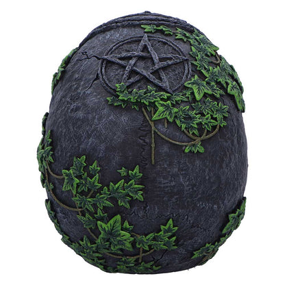 Aged Pentagram Skull 18.8cm 3