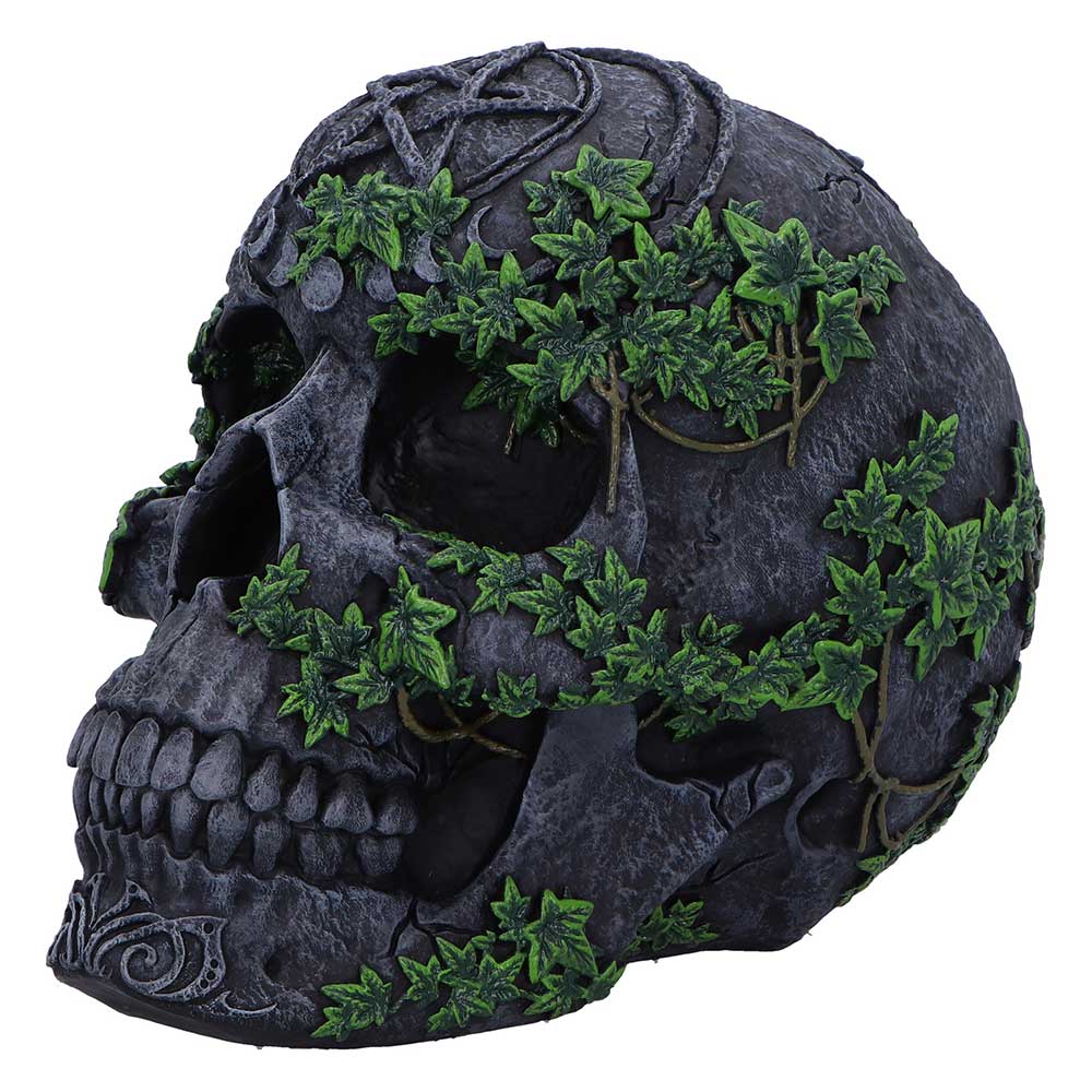 Aged Pentagram Skull 18.8cm 4