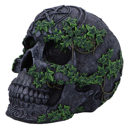 Aged Pentagram Skull 18.8cm 4