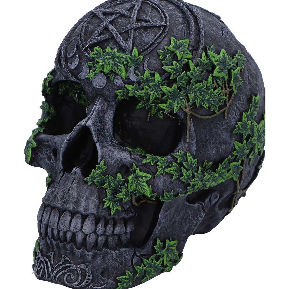 Aged Pentagram Skull 18.8cm 5