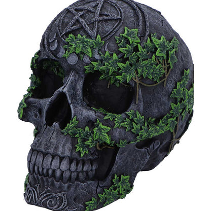 Aged Pentagram Skull 18.8cm 5