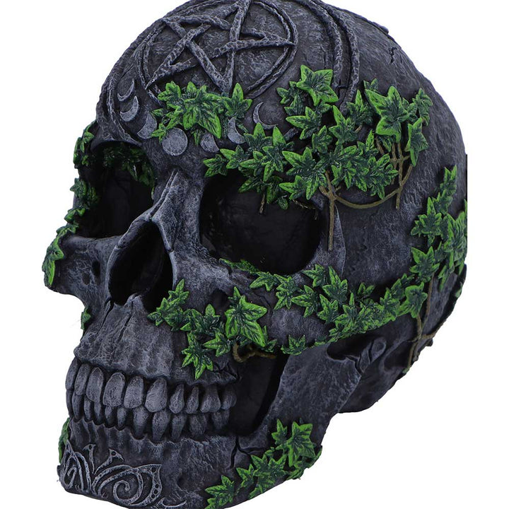 Aged Pentagram Skull 18.8cm 5