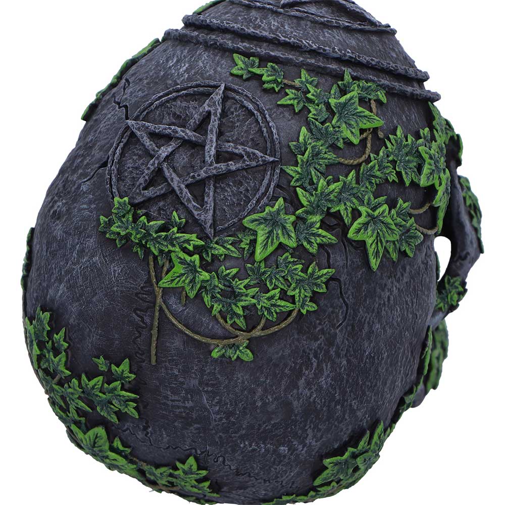 Aged Pentagram Skull 18.8cm 6