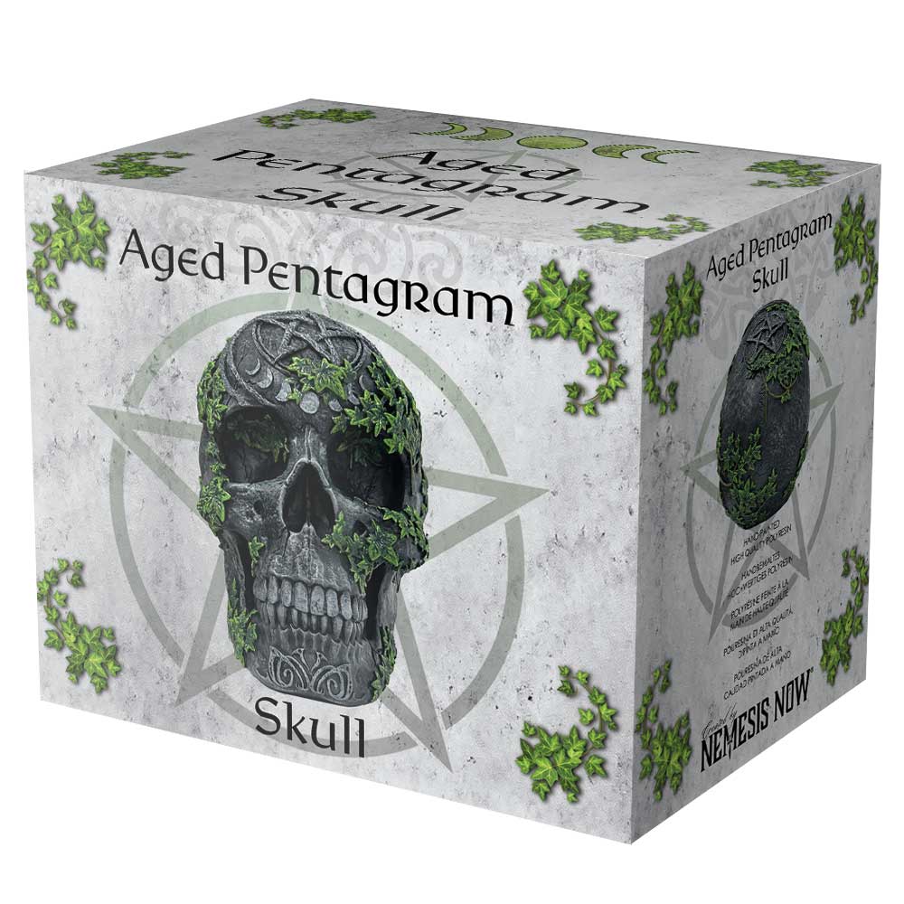 Aged Pentagram Skull 18.8cm 7
