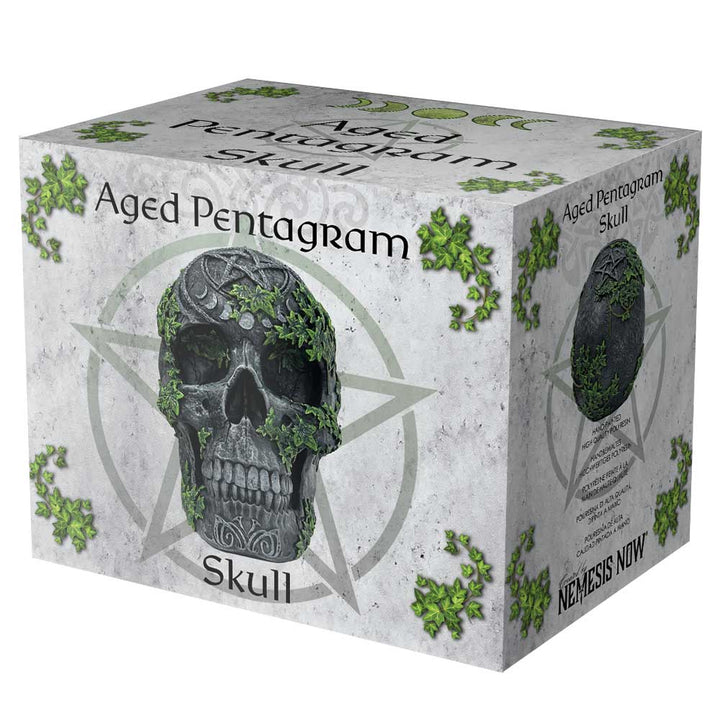 Aged Pentagram Skull 18.8cm 7