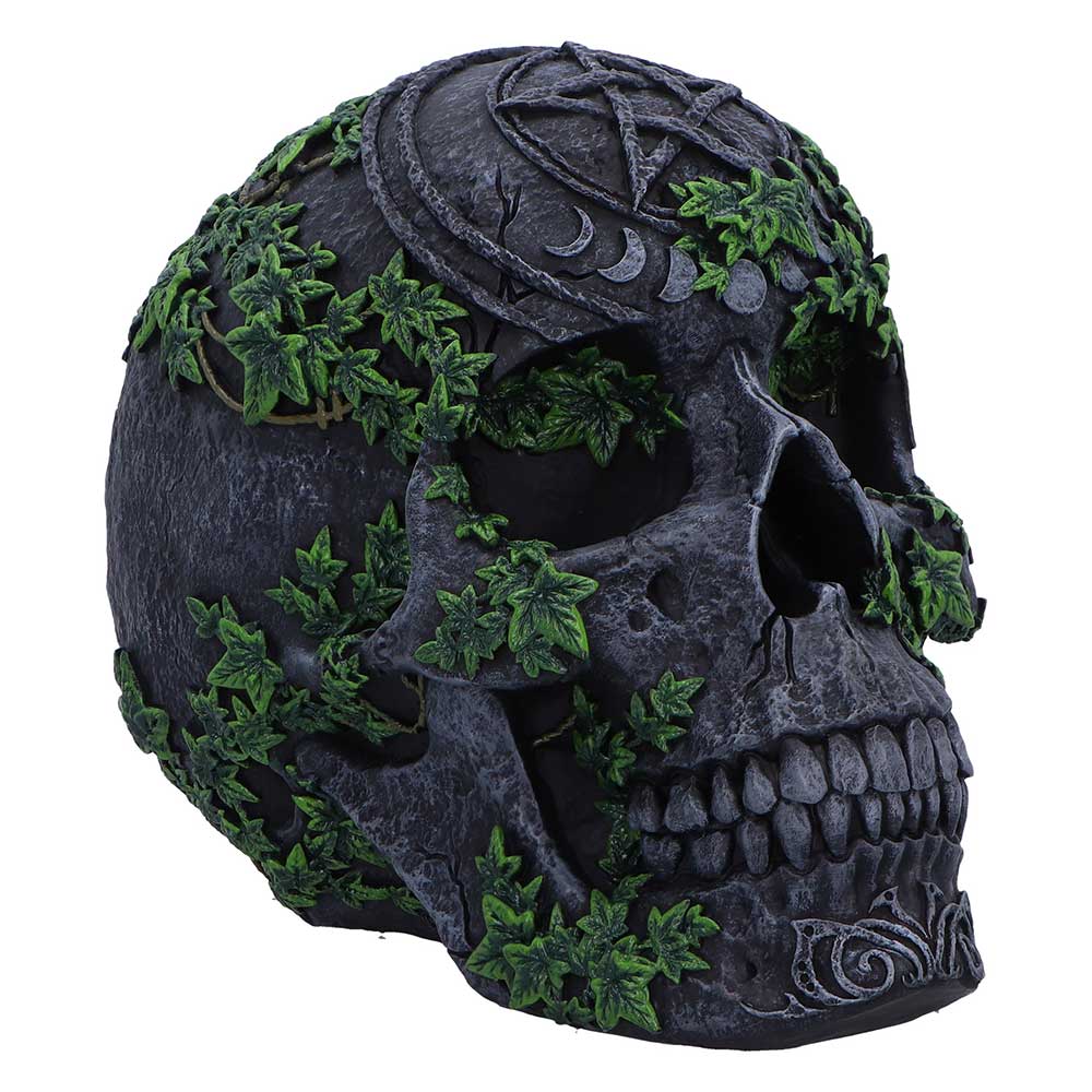 Aged Pentagram Skull 18.8cm 1