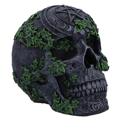 Aged Pentagram Skull 18.8cm 1