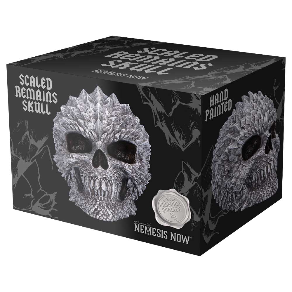 Scaled Remains 15.4cm Decorative Resin Skull 7