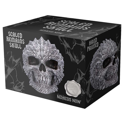 Scaled Remains 15.4cm Decorative Resin Skull 7