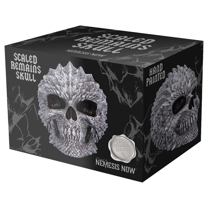 Scaled Remains 15.4cm Decorative Resin Skull 7
