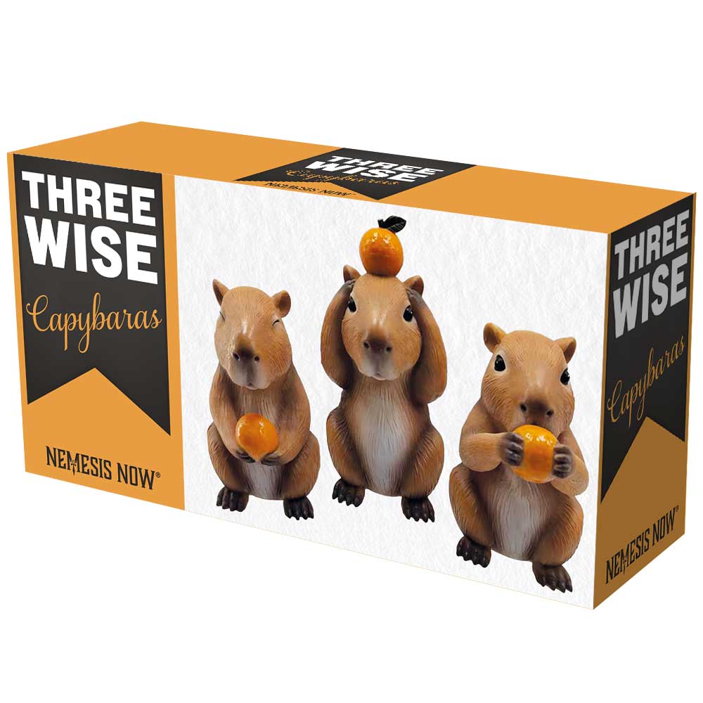 Three Wise Capybaras 10.5cm Resin Statues 6