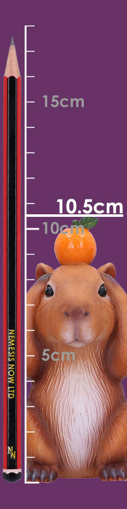 Three Wise Capybaras 10.5cm Resin Statues 8