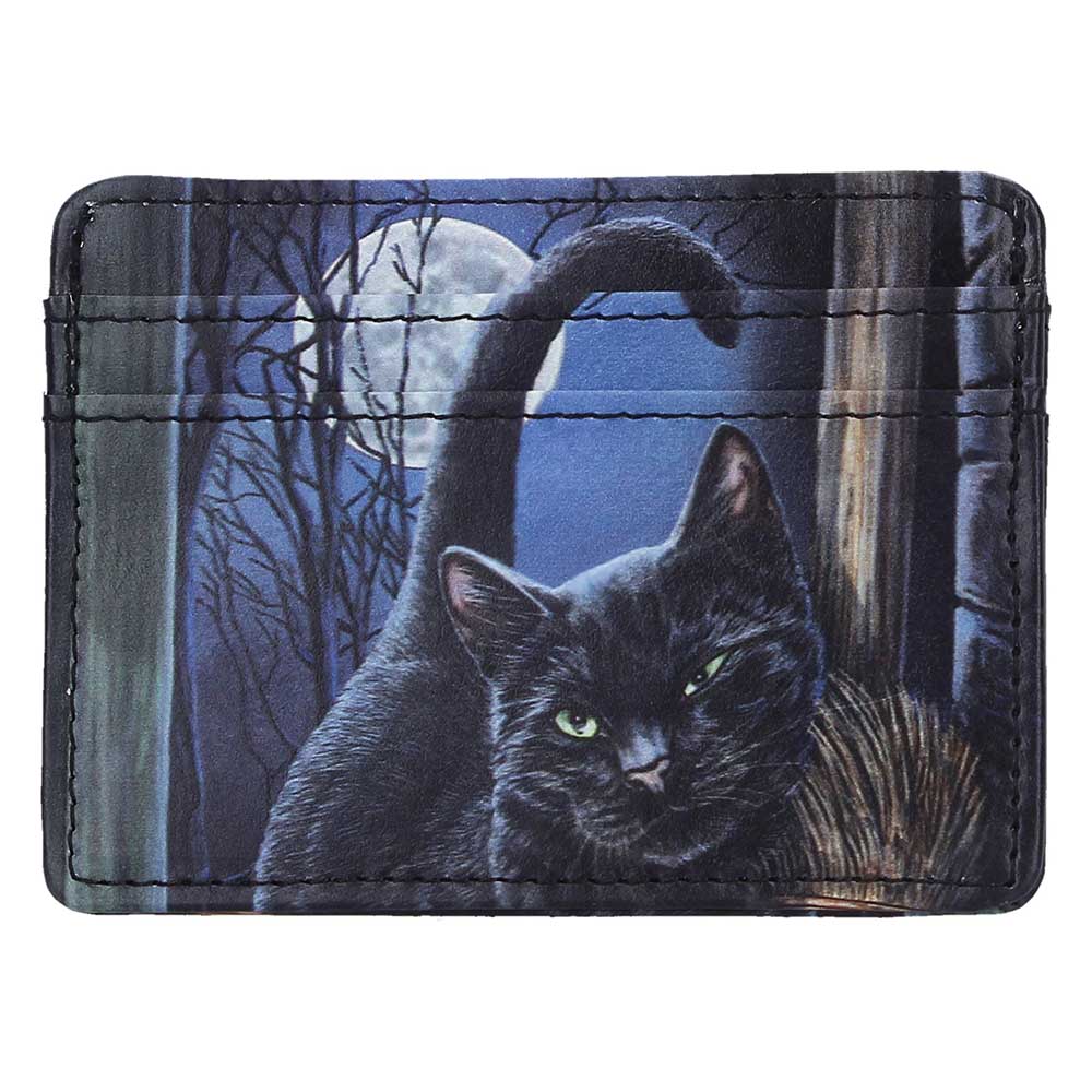 A Brush With Magick Card Holder 10.5cm 1