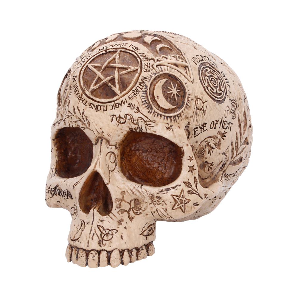Apothecary Skull Figurine 14cm