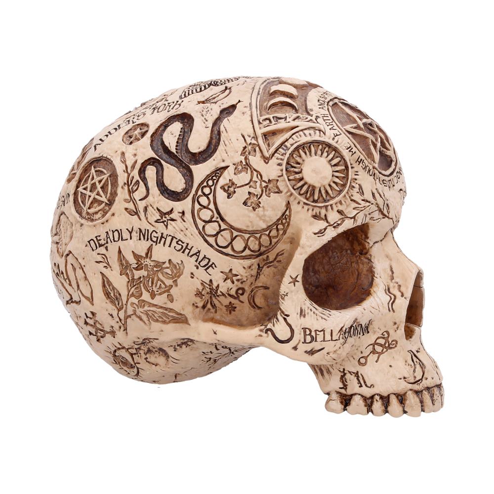 Apothecary Skull Figurine 14cm 3