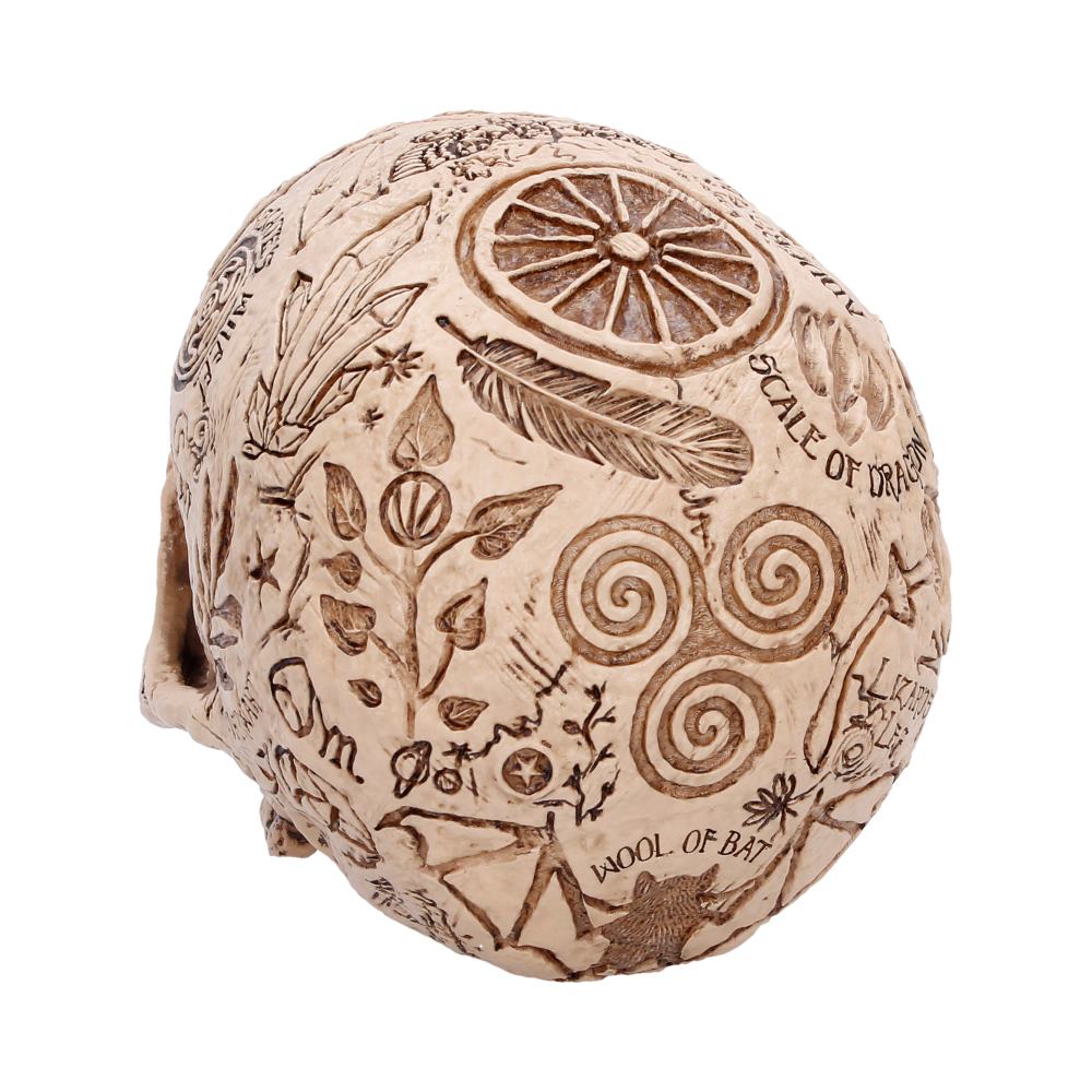 Apothecary Skull Figurine 14cm 4
