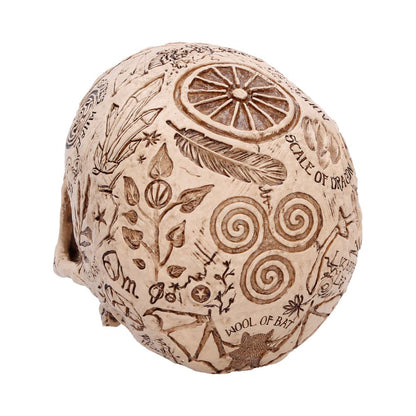 Apothecary Skull Figurine 14cm 4