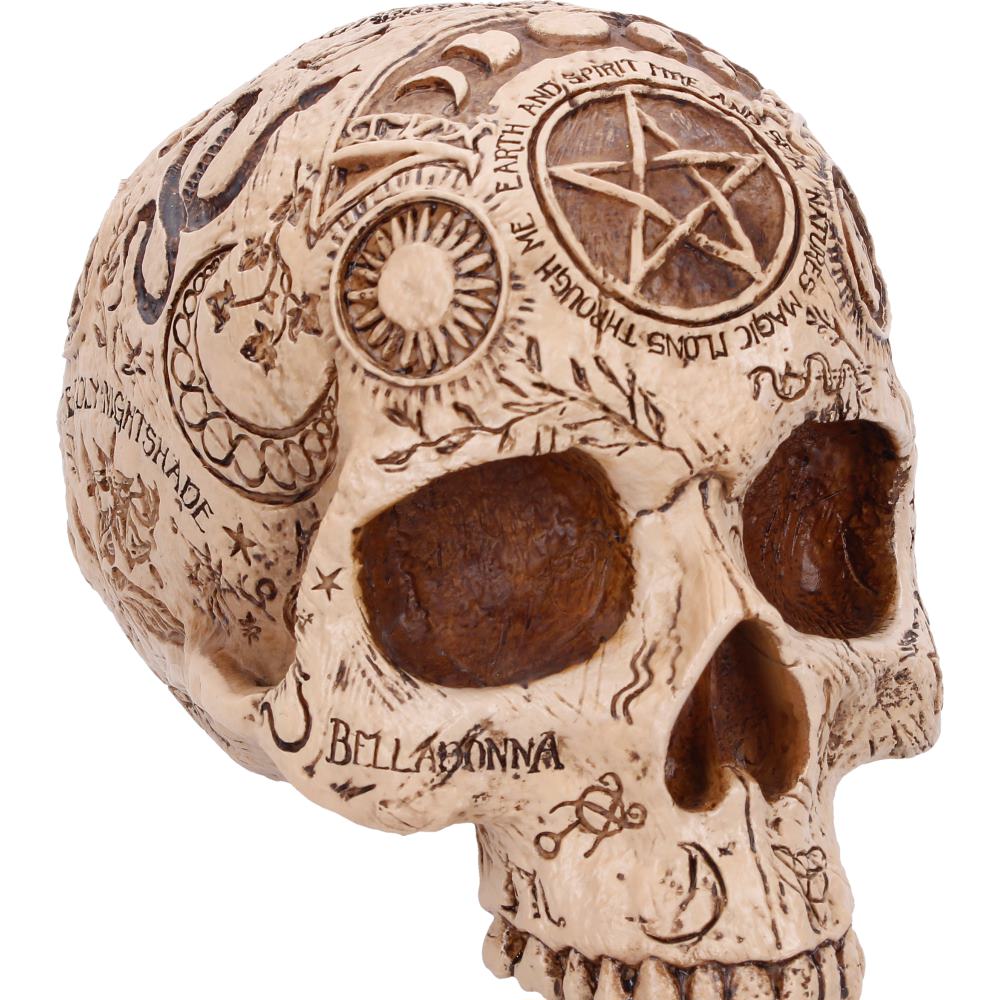 Apothecary Skull Figurine 14cm 5