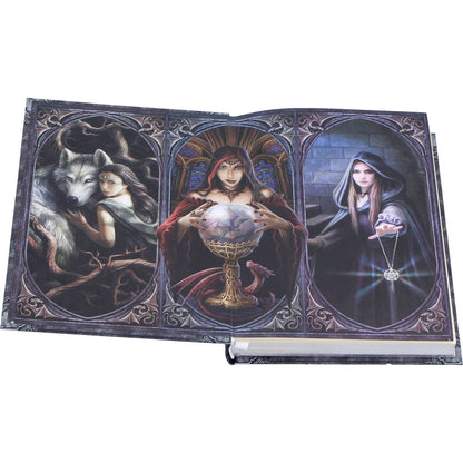 The Book of Shadows Journal by Anne Stokes 17cm 5