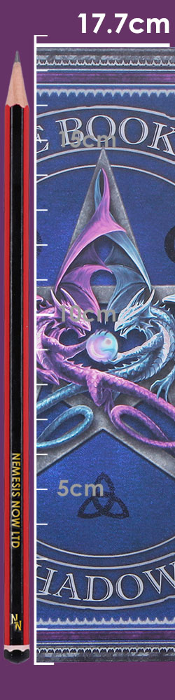 The Book of Shadows Journal by Anne Stokes 17cm
